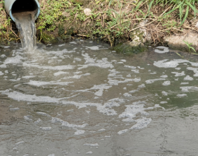 lozingen in het water