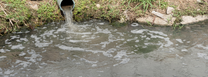 lozingen in het water